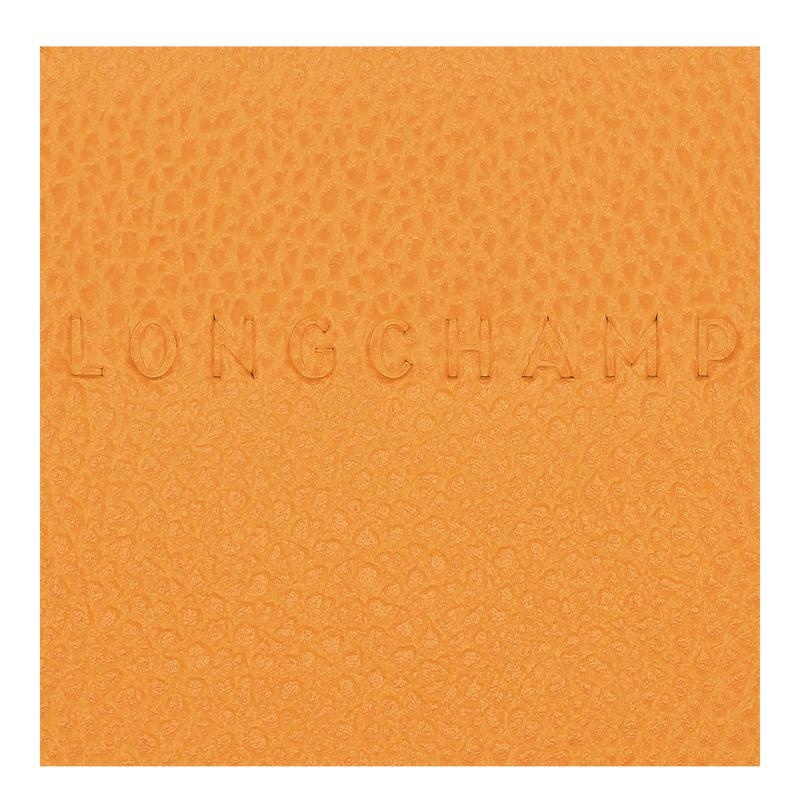 Apricot Orange Men's Longchamp Le Foulonné Cardholders | 42935-QCIW