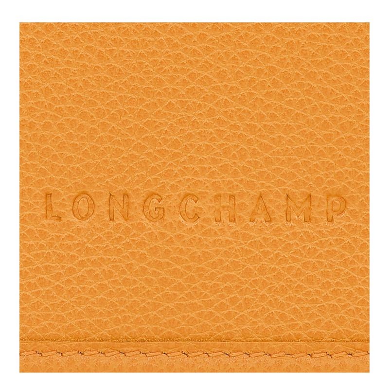 Apricot Orange Women's Longchamp Le Foulonné XS Clutch Purse | 80159-OTWX
