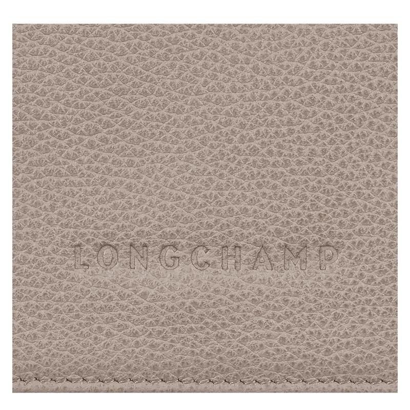 Turtledove Grey Men's Longchamp Le Foulonné Wallets | 79348-ZBQX